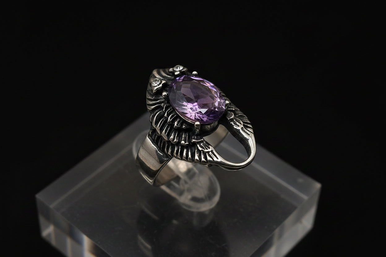 SCHWINGEN RING